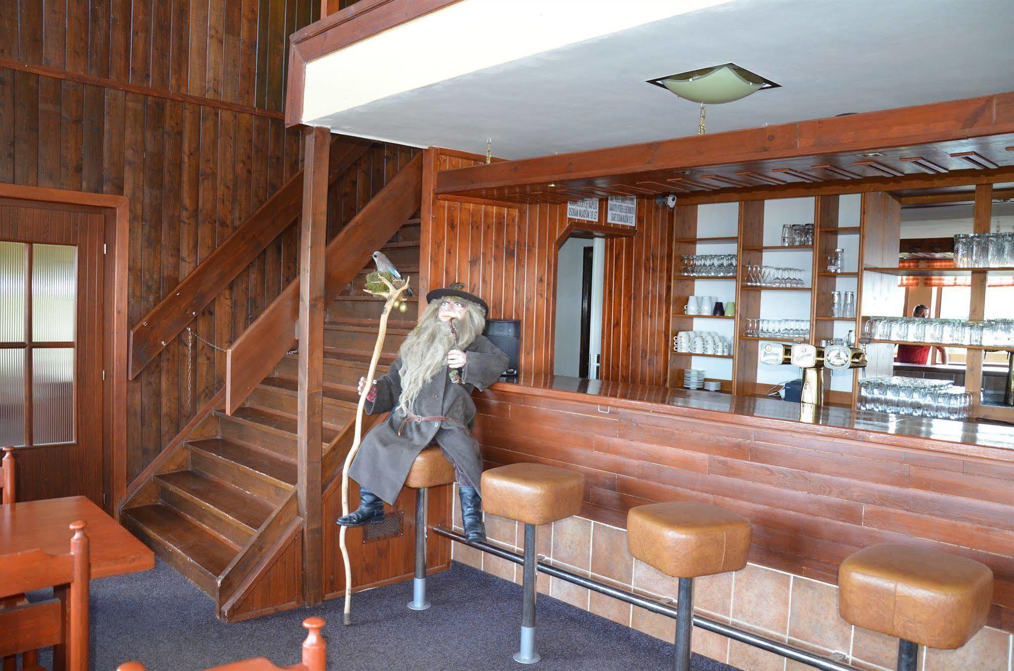 Hotel Labska Bouda ホルニー・ミーセチキ エクステリア 写真